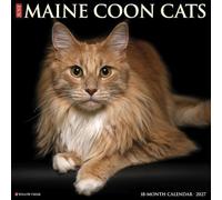 Willow Creek Press, Just Maine Coon Cats Calendrier mural 2027