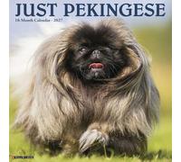 Willow Creek Press, Just Pekingese Calendrier mural 2027