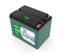 WILLQ Batterie LiFePO4 25,6 V Batterie au Lithium Rechargeable 24 V | Batterie 24 volts, 12Ah, 18Ah, 25Ah, 30Ah, 48Ah, 60Ah, 2000 cycles décharge profonde, pour lampe camping, sondeur pêche