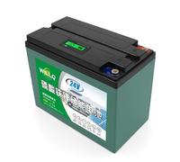 WILLQ Batterie LiFePO4 25,6 V Batterie au Lithium Rechargeable 24 V | Batterie 24 volts, 12Ah, 18Ah, 25Ah, 30Ah, 48Ah, 60Ah, 2000 cycles décharge profonde, pour lampe camping, sondeur pêche
