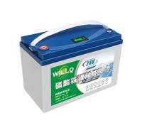 WILLQ Batterie LiFePO4 25,6 V Batterie au Lithium Rechargeable 24 V | Batterie 24 volts, 12Ah, 18Ah, 25Ah, 30Ah, 48Ah, 60Ah, 2000 cycles décharge profonde, pour lampe camping, sondeur pêche