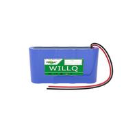 WILLQ Batterie Rechargeable LiFePO4 3,2 V pour lampadaires solaires | Batteries au lithium 3,2 volts 6 Ah, 12 Ah, 18 Ah, 24 Ah et 30 Ah, amovibles, pièce de rechange pour lampe