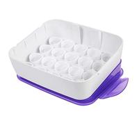 Wilton Organisateur Colorants Alimentaires, Icing Color Boîte de Rangement Organisatrice pour Colorants Alimentaires - 22,8 x 17,7 x 6,6 cm