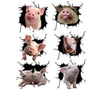 WINBST Lot de 6 autocollants muraux pour fenêtre de voiture - Motif cochon cassé - Pour voiture, moto, ordinateurs portables, fenêtres, murs, camions - 26 x 26 cm