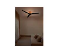 WIND CALM CUSTOM RATTAN - Ventilateur de plafond silencieux 40 W Ø 132 cm 100 % bois avec éclairage LED d'ambiance
