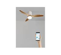 WIND CALM LINE M - Ventilateur de plafond 40W silencieux Ø132 cm 100% bois avec eclaraige avec wifi