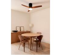 CREATE Ventilateur de plafond WIND CALM NATURAL WOOD - 40W, 100% bois, Ø112 cm, télécommande