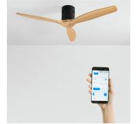 WIND CALM - Ventilateur De Plafond Silencieux 40W Avec Pales Techniques En ABS De Différentes Tailles Sans Lumière