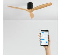 WIND CALM - Ventilateur De Plafond Silencieux 40W Avec Pales Techniques En ABS De Différentes Tailles Sans Lumière