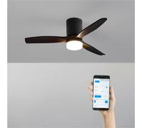 WIND CALM - Ventilateur De Plafond Silencieux 40W Avec Pales Techniques En ABS De Différentes Tailles WIFI + Télécommande
