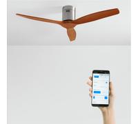 WIND CALM - Ventilateur De Plafond Silencieux 40W Avec Pales Techniques En ABS De Différentes Tailles Sans Lumière