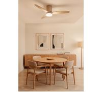 WIND CALM - Ventilateur De Plafond Silencieux 40W Avec Pales Techniques En ABS De Différentes Tailles Télécommande & S (Ø112cm) (pièces ≤10m²) & Avec Lumière & Sable