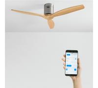 WIND CALM - Ventilateur De Plafond Silencieux 40W Avec Pales Techniques En ABS De Différentes Tailles Sans Lumière