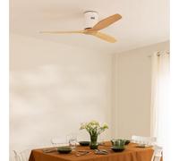 WIND CALM - Ventilateur De Plafond Silencieux 40W Avec Pales Techniques En ABS De Différentes Tailles Sans Lumière