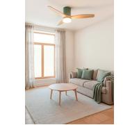 WIND CALM - Ventilateur De Plafond Silencieux 40W Avec Pales Techniques En ABS De Différentes Tailles Télécommande & S (Ø112cm) (pièces ≤10m²) & Avec Lumière & Sauge / Effet Bois Clair