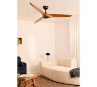 WIND CENTURY - Ventilateur De Plafond 40W Silencieux, 100% Bois, Plusieurs Tailles Sans Lumière