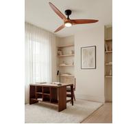 WIND CENTURY - Ventilateur De Plafond 40W Silencieux, 100% Bois, Plusieurs Tailles Télécommande & M (Ø132cm) (pièces 10m²-25m²) & Avec Lumière & Noir / Bois Foncé