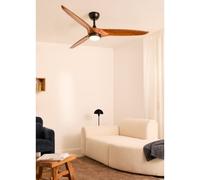 WIND CENTURY - Ventilateur De Plafond 40W Silencieux Ø152 Cm 100% Bois Télécommande