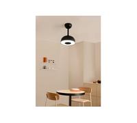 WIND CLEAR CUP S - Ventilateur de plafond 40W silencieux Ø55cm pales rétractables avec eclaraige LED avec eclaraige sans wifi