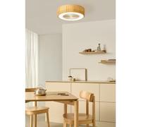 WIND CLEAR EASY - Ventilateur De Plafond Silencieux 40W Ø50 Cm Avec Pales Dissimulées Et Lumière LED Télécommande