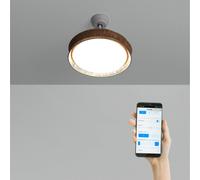 WIND CLEAR RATTAN - Ventilateur De Plafond Silencieux 40W Ø108cm Lames Rétractables Avec Éclairage LED De 36W WIFI + Télécommande