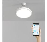 WIND CLEAR STUDIO S - Ventilateur de plafond 40W silencieux avec pales rétractables et eclaraige LED, Ø91cm avec eclaraige avec wifi Transparent G