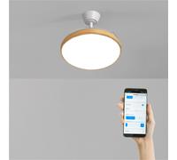 CREATE Ventilateur de plafond WIND CLEAR STUDIO S Ø91 cm LED 3 températures Pales rétractables WiFi