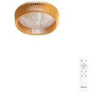 WIND CRAFT - Ventilateur De Plafond 20W Silencieux Ø58cm Pales Orientables Avec Lumière LED Avec Lumière
