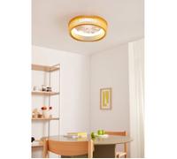 WIND CRAFT - Ventilateur De Plafond 20W Silencieux Ø58cm Pales Orientables Avec Lumière LED Avec Lumière