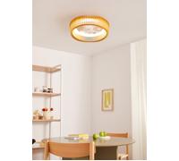 WIND CRAFT - Ventilateur De Plafond 20W Silencieux Ø58cm Pales Orientables Avec Lumière LED Avec Lumière