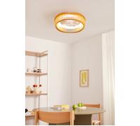 WIND CRAFT - Ventilateur De Plafond 20W Silencieux Ø58cm Pales Orientables Avec Lumière LED Avec Lumière