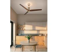 WIND FORMA - Ventilateur De Plafond Silencieux 45 W Ø152 Cm Avec Lumière D’ambiance Optionnelle Télécommande