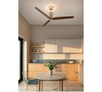 WIND FORMA - Ventilateur De Plafond Silencieux 45 W Ø152 Cm Avec Lumière D’ambiance Optionnelle Télécommande