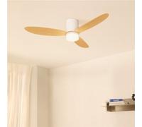 WIND LITE - Ventilateur De Plafond Silencieux 40W Ø132 Cm Adapté Pour L'intérieur Et L'extérieur Télécommande