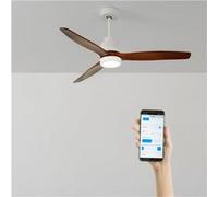 WIND STYLANCE M - Ventilateur de plafond 40W silencieux 100% bois Ø 132 cm avec eclaraige avec wifi Blanc G
