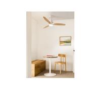 WIND STYLANCE - Ventilateur de plafond silencieux 40 W avec pales en ABS technique Ø 112 cm, avec éclairage et commande murale