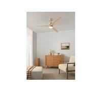 WIND STYLANCE - Ventilateur de plafond silencieux 40 W avec pales en ABS technique Ø 132 cm avec éclairage sans wifi