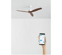 WIND STYLANCE - Ventilateur De Plafond Silencieux De 40 W Avec Pales En ABS Technique, Disponible En Plusieurs Tailles Sans Lumière