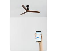 WIND STYLANCE - Ventilateur De Plafond Silencieux De 40 W Avec Pales En ABS Technique, Disponible En Plusieurs Tailles Sans Lumière & WIFI + Télécommande & M (Ø132cm) (pièces 10m²-25m²) & Noir / Effet