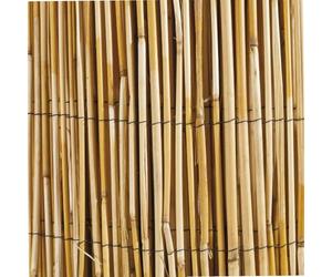 Windhager 06523 Canisse Roseau Naturel Beige 1 x 5 m