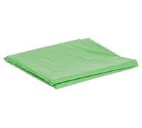 Windhager 06765 Bâche de Protection pour tomates Vert 1,25 x 0,65 m