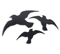 Windhager 07116 Lot de 3 Autocollants faciles à Coller sur Les Silhouettes d'oiseaux, Protection de fenêtre, Protection Contre Les collisions d'oiseaux, protège Les Oiseaux des Grandes Surfaces