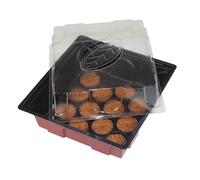 Windhager Mini-Serre d’Interieur avec 12 pastilles de Germination sans Tourbe, 19x19.5x11 cm, 06860
