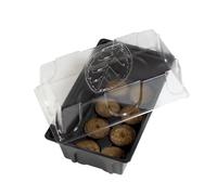 Windhager Mini-Serre D’Interieur avec 8 Pastilles de Germination sans Tourbe, 19x11x11 cm, 06842