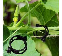 Winmany Lot de 100 clips de support pour plantes de jardin, supports pour tomates/connexions pour plantes/ficelle/vignes/grillage/cages pour légumes de vigne - Clip de fixation et outils de greffage
