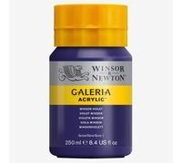 Winsor And Newton Galeria Acrylique Couleur 250ml 728 Winsor Violette (Pot)