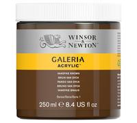 Winsor & Newton Acrylique Galeria 250 ml Brun Van Dyck