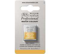 Winsor & Newton Aquarelle Professionnel - Peinture Aquarelle, Haute Luminosité, Résistante à la Lumière, Qualité Archive, Demi Godet, Couleur Terre d'Ombre Naturelle