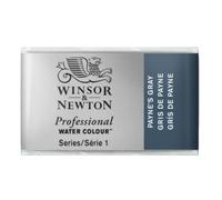 Winsor & Newton Aquarelle Professionnel - Peinture Aquarelle, Haute Luminosité, Résistante à la Lumière, Qualité Archive, Godet, Couleur Gris de Payne