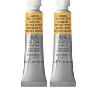 Winsor & Newton Aquarelle Professionnel - Peinture Aquarelle, Haute Luminosité, Résistante à la Lumière, Qualité Archive, Tube de 5 ML, Couleur Jaune de Naples Fonce (Lot de 2)